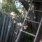 First fence