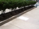 Planter.jpg