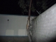 Entry Point Entry Point