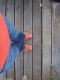 Orange Shoes Orange Shoes