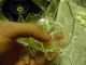BROKEN GLASS.