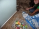 Coin tub