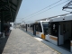 Gold Line