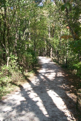 The trail