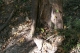 100_1115.JPG