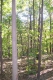 100_1128.JPG