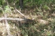 100_1133.JPG
