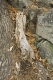 20080319_1273.jpg