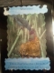 Cuckoo Image