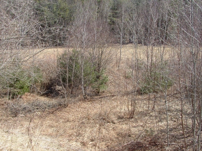 misuse of maps 007.jpg misuse of maps 007.jpg