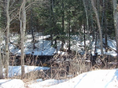 misuse of maps 008.jpg misuse of maps 008.jpg