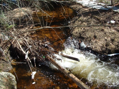 misuse of maps 010.jpg misuse of maps 010.jpg