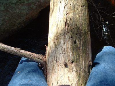 misuse of maps 012.jpg misuse of maps 012.jpg