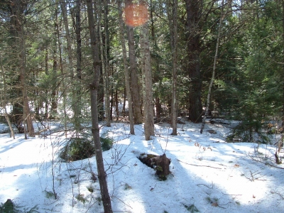 misuse of maps 015.jpg misuse of maps 015.jpg