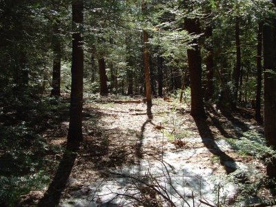 misuse of maps 016.jpg misuse of maps 016.jpg