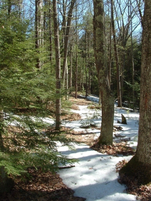 misuse of maps 017.jpg misuse of maps 017.jpg