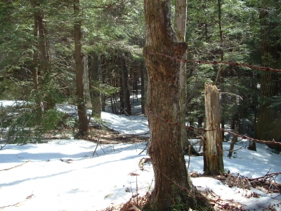 misuse of maps 018.jpg misuse of maps 018.jpg