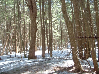 misuse of maps 019.jpg misuse of maps 019.jpg