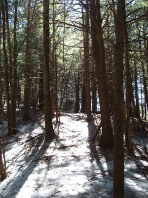 misuse of maps 020.jpg misuse of maps 020.jpg