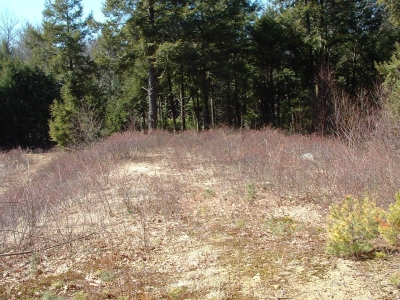 misuse of maps 021.jpg misuse of maps 021.jpg