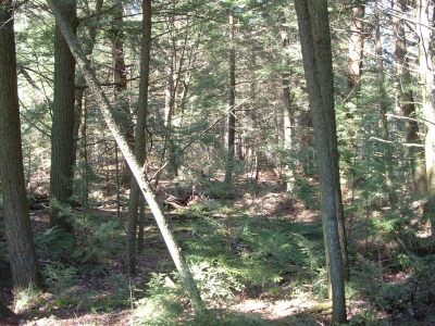 misuse of maps 024.jpg misuse of maps 024.jpg