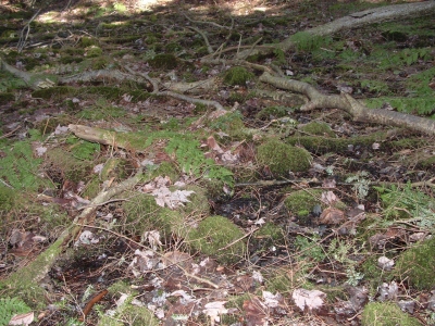 misuse of maps 025.jpg misuse of maps 025.jpg