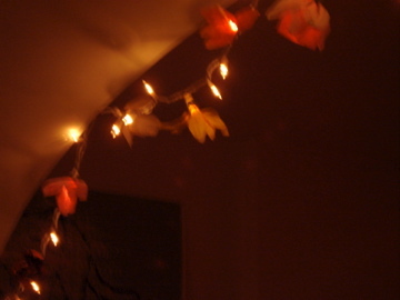 our neighbors helped out by lending us an extension chord.