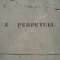 a perpetual