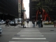 DSC01184.jpg