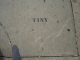 tiny