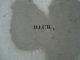 back,