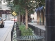 DSC01712.JPG