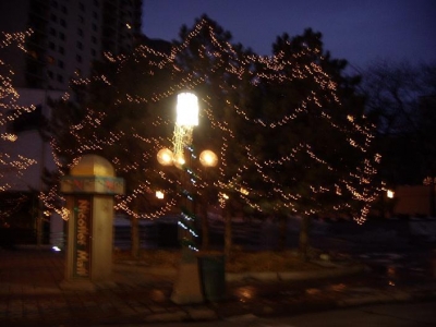 da-treelights.JPG da-treelights.JPG