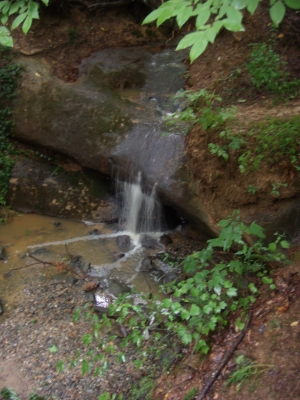 A stream