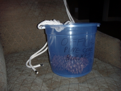 Official Pine Cone Bucket