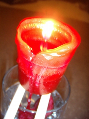 Hello there! I am a lead praxis photo! Hello there! I am a lead praxis photo!