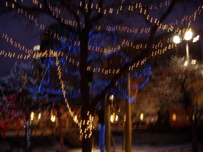 Trees Trees