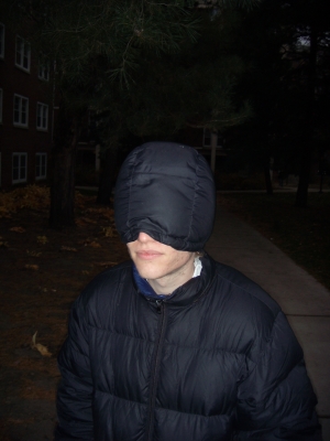 helpblind2.JPG