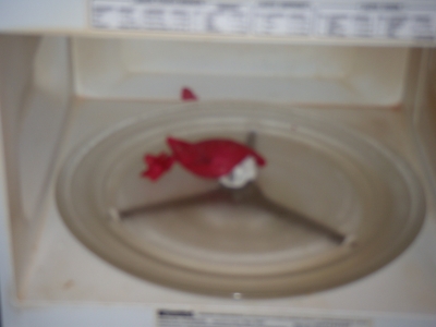 smalldogs2.JPG smalldogs2.JPG