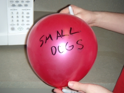 smalldogs.JPG smalldogs.JPG