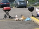 Dueling Grills