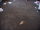 DSCN1310.JPG