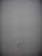 DSCN1315.JPG
