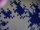 DSCN1530.JPG