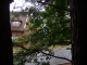 Cary 3