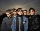 this is not the right oasis...