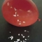 staticelec.jpg