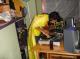 DSC01538.JPG