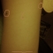 DSC00039.JPG