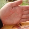 The Callouses on Your Hands by Arietis The Callouses on Your Hands by Arietis